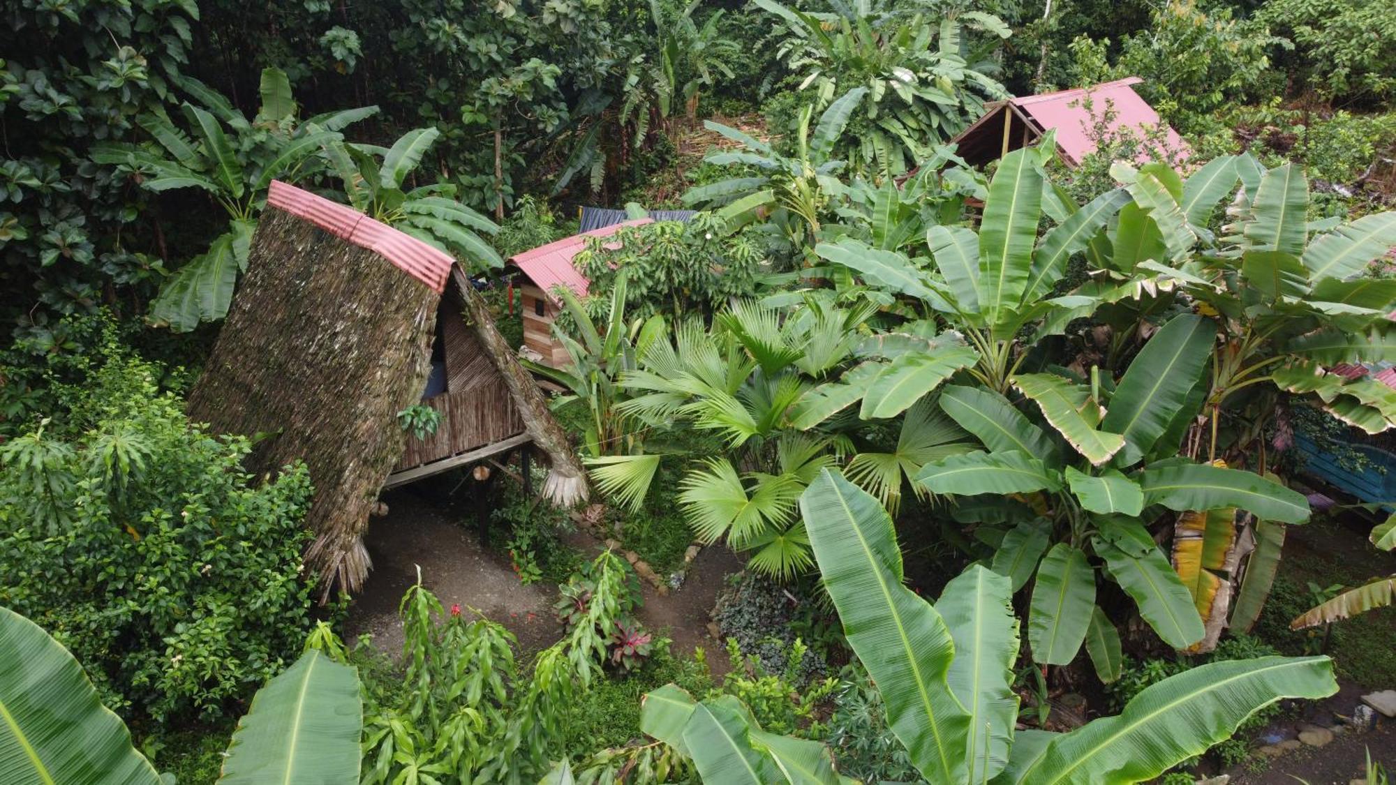 Hotel La Aldea Del Primitivo Nuquí Esterno foto